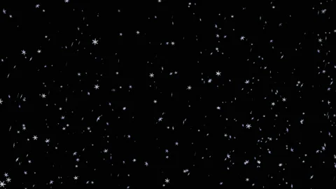 Falling Snowflakes loop Stock Footage 100644633