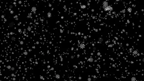 Falling Snowflakes. Looped Overlay Video stock 255291981
