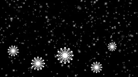 Falling Snowflakes in the Night - Black Background 스톡 동영상 324893329