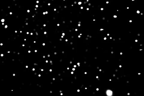 Falling snowflakes Stock Photos