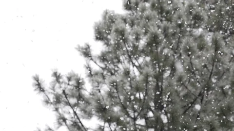 Falling snowflakes Slowmotion LARGE Stock Footage 105030272