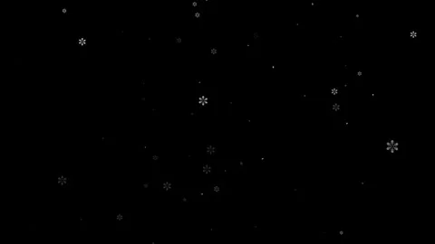 Falling Snowflakes Snow Particles Winter Animation Black Background Vídeo Stock 335495128