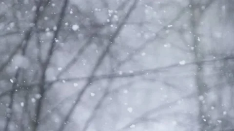 Falling snowflakes. Snowfall. Peace, tranquility and relaxation. Winter Stock Footage 150662206
