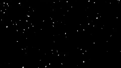 Falling snowflakes on a transparent background. Stock Footage 166242640