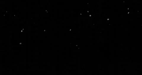 Falling snowflakes for video overlay Stock Footage 196453574