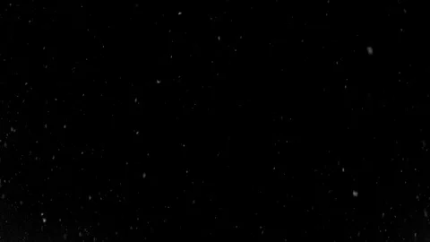 Falling snowflakes at winter. Stock Footage 112407444