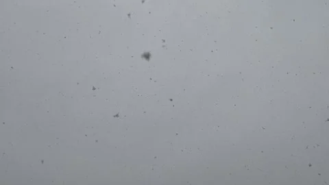 Falling Snowflakes in a Winter Snowstorm Stock Footage 341829870