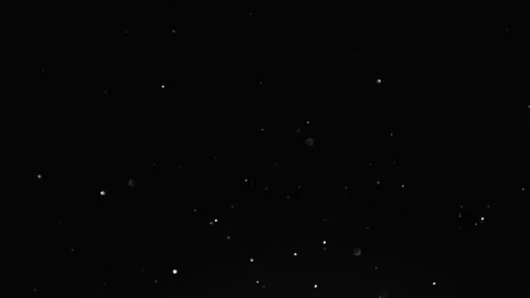 Falling snow.snow is falling slowly on a black background.night snowfall Stock Footage 167701458