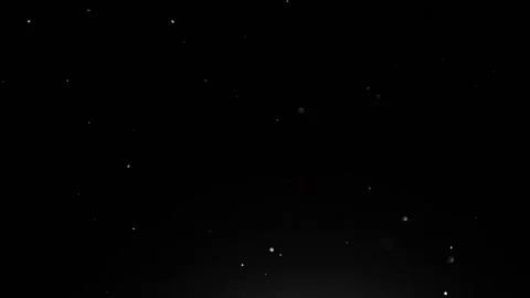 Falling snow.snow is falling slowly on a black background.night snowfall Stock Footage 167701459