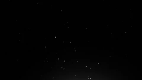 Falling snow.snow is falling slowly on a black background.night snowfall Stock Footage 167701460