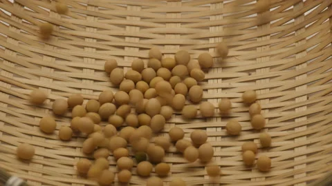 Falling Soybeans on a bamboo basket 库存影片 162608029