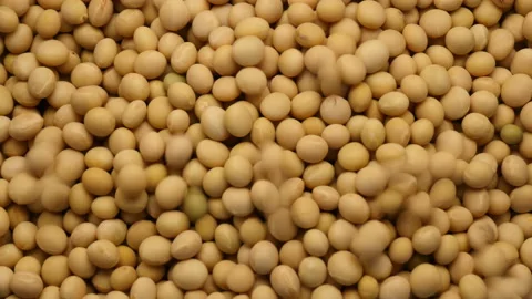 Falling Soybeans on a weave wicker basket 库存影片 162608275