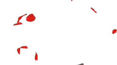 Falling on a spiral petals of roses Stock Footage 608279