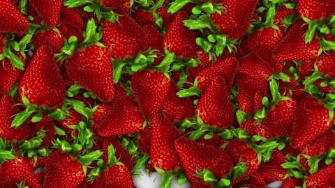 Falling Strawberries Fruit on Alpha Channel, Transition Animation, Loop Video stock 295915106