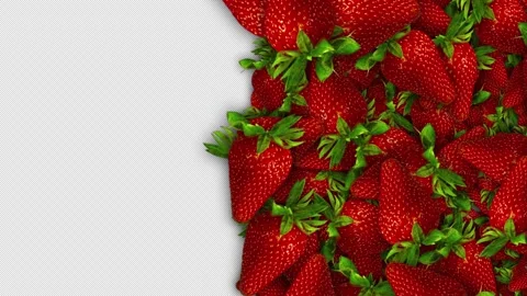 Falling Strawberries Fruit on Alpha Channel, Transition Animation, Loop Video stock 295918820