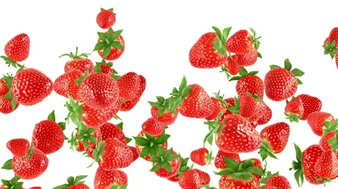 Falling strawberries on white background Stock Footage 7778425