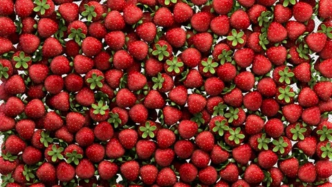 Falling strawberry transition – 3d render with alpha channel. Video stock 270394674