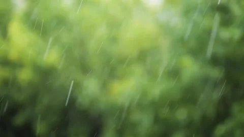 Falling summer raindrops against a blurred background of green foliage Stock Footage 340099414
