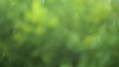 Falling summer raindrops against a blurred background of green foliage Stock Footage 340099425
