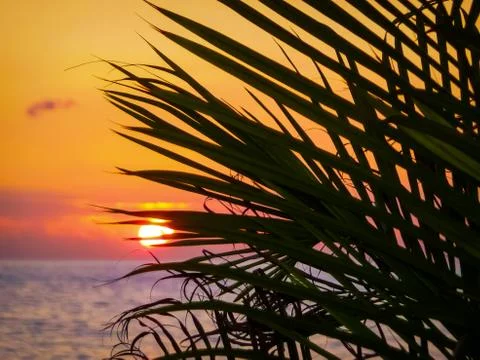 Falling sun 库存照片