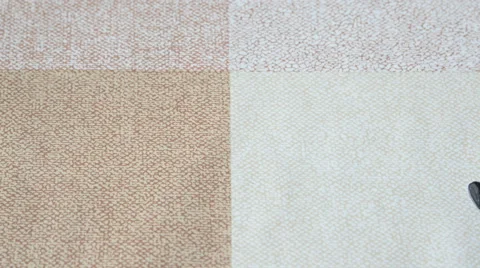 Falling sunflower seeds 動画素材 48931328