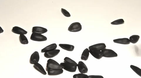 Falling sunflower seeds 스톡 동영상 68862838