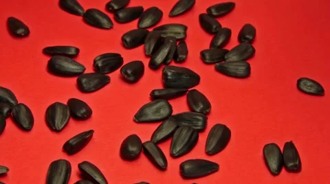 Falling sunflower seeds 스톡 동영상 68862877