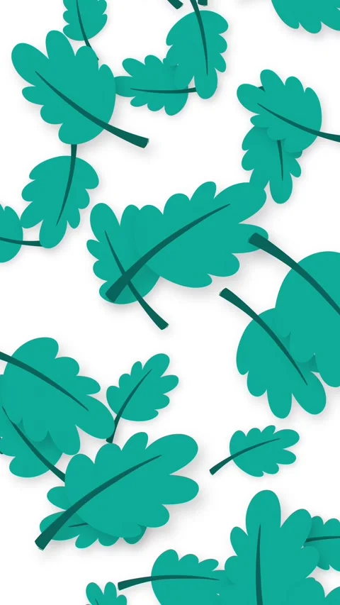 Falling Teal Oak Leaves Animation on White Background Stock Footage 344851038