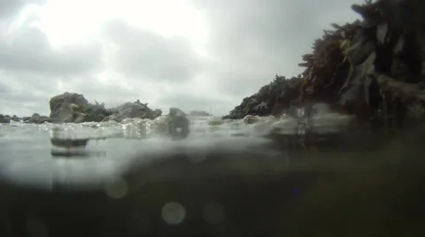 Falling tide seaweed camera gets wet 3 time lapse Stock Footage 33905107