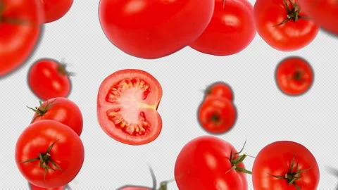 Falling Tomatoes Background, with Alpha Channel, Loop  Stock Footage 231092834