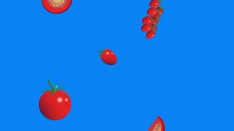 Falling Tomatoes group graphic elements animation, seamless loop, blue screen Stock Footage 130151385