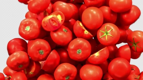 Falling Tomatoes Transition effect with alpha channel. 3D rendering Stock Footage 142673821