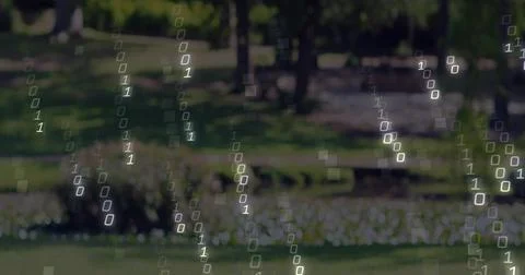 Falling translucent binary digit streams overlaying grassy public park scene, Foto stock