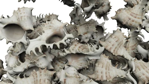 Falling tree bark on white background. 스톡 동영상 285388912