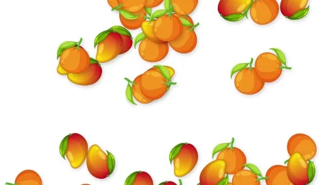 Falling Tropical Mango and Peach Fruit Animation on White Background Stock Footage 342102121