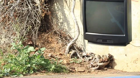 Falling TV smashes on the ground Vidéo 47114613