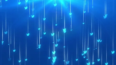Falling Twitter Icon Background Stock-Footage 194039427