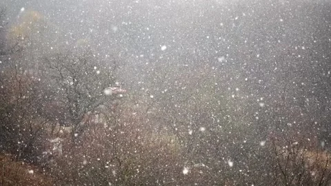 Falling upwards snowflakes during winter snowfall. Abstraction. Slow motion. Stock-Footage 170181760