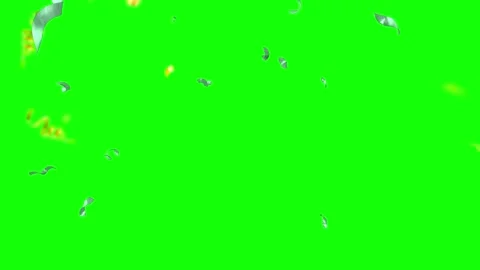 Falling US Dollar Banknotes Isolated on Green Screen for Chroma Key Compositing Stock Footage 344367916