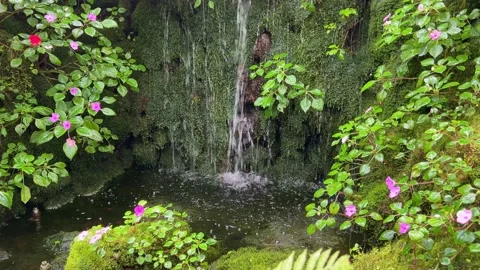 Falling valley water Stock Footage 201871043