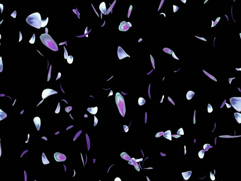 Falling Violet Blue Green Flower Petals Flying Background Alpha matte Loop 4k Video stock 71897219