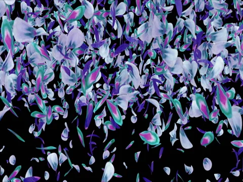 Falling Violet Blue Green Flower Petals Light Background Alpha matte Loop 4k Stock Footage 73157361