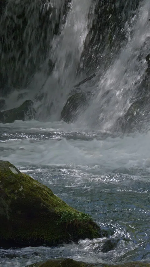 Falling Water and Mossy Boulder Close Up Vertical Video Видео 346072584