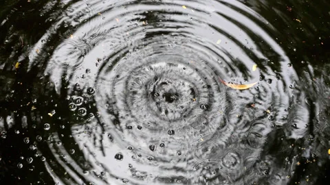 Falling water drops create large ripples on rippled water Stock Footage 133394221