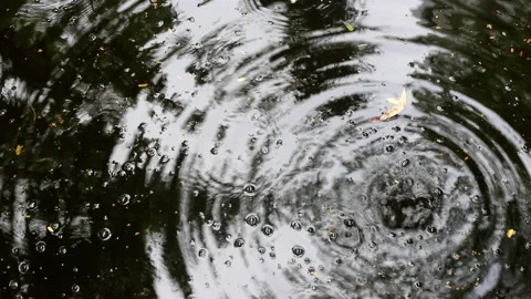 Falling water drops create large ripples on rippled water Video stock 133394500