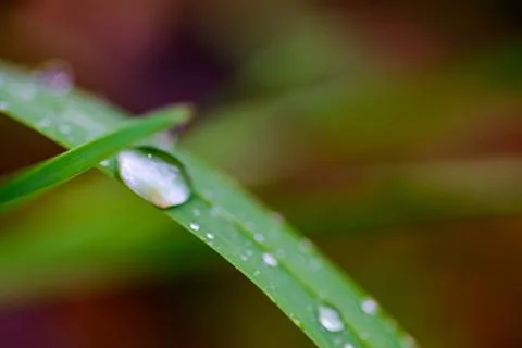 Falling water drops Stock Photos