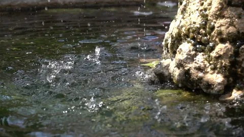 Falling water drops on water in a stone fountain Video stock 76660332