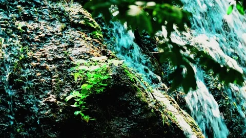 Falling water at falls Video stock 347506690