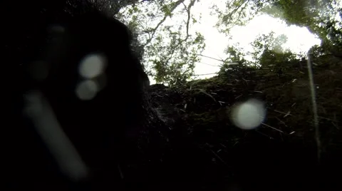 Falling water Stock-Footage 2409671