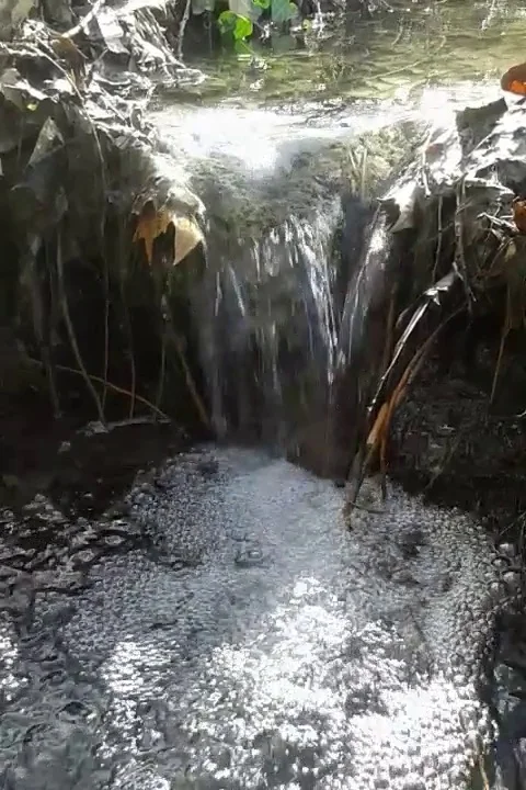 Falling water Stock Footage 125325538